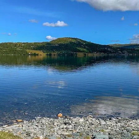 Cozy In Rauland With Wifi *